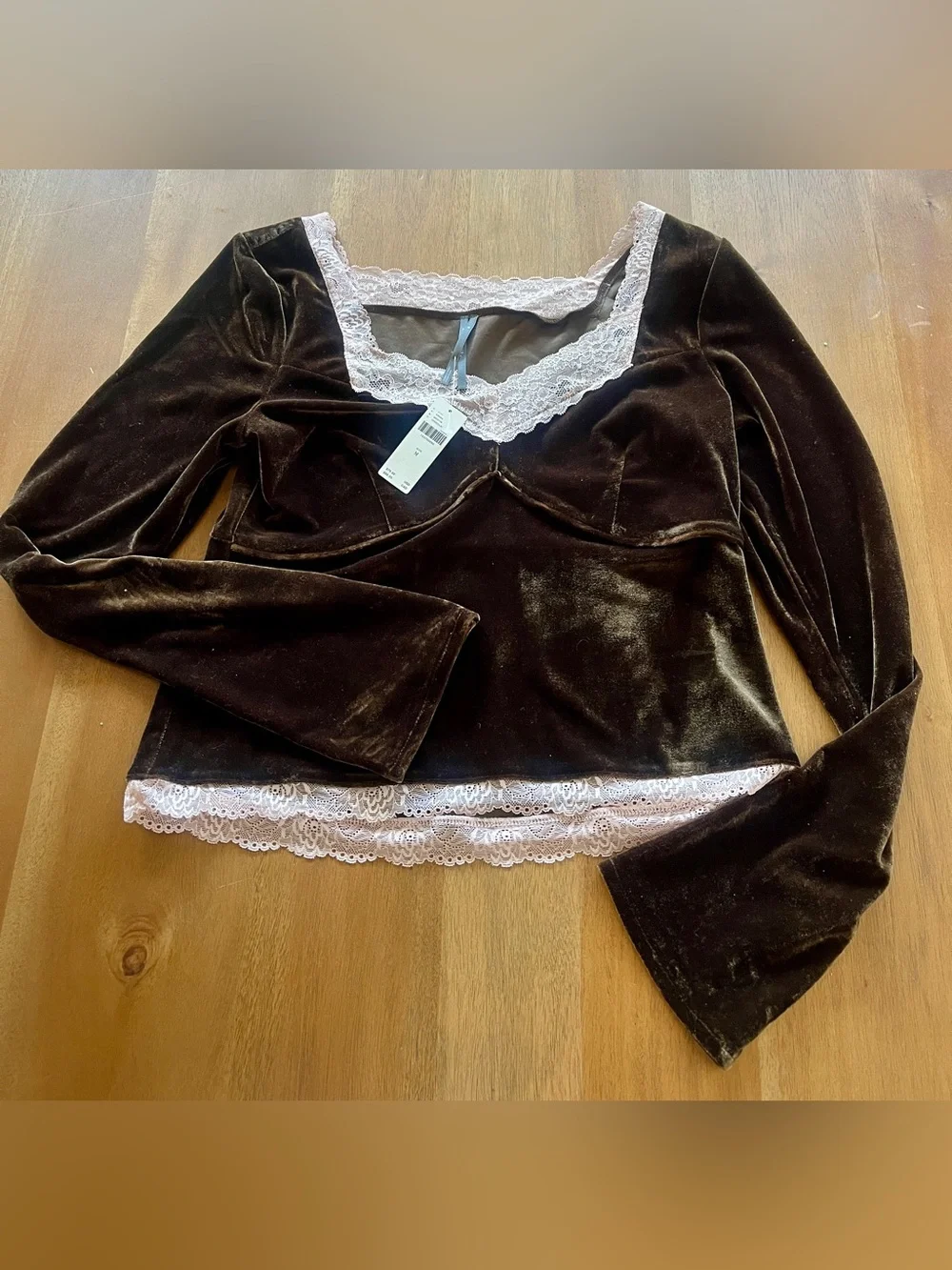BNWT Anthropologie Velvet/Lace Blouse